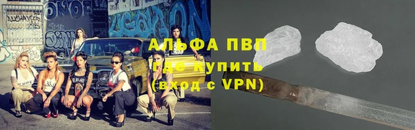 гашик Елизово
