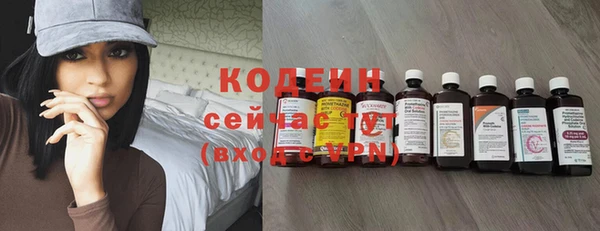 гашик Елизово