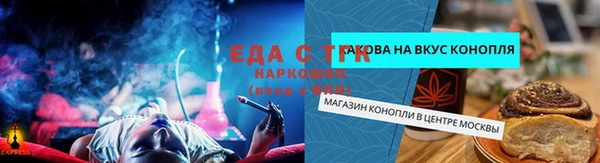 гашик Елизово