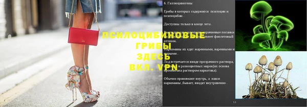 марки lsd Ельня