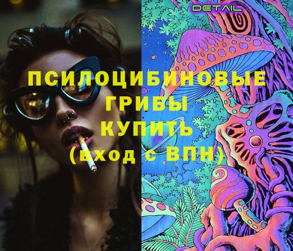 гашик Елизово