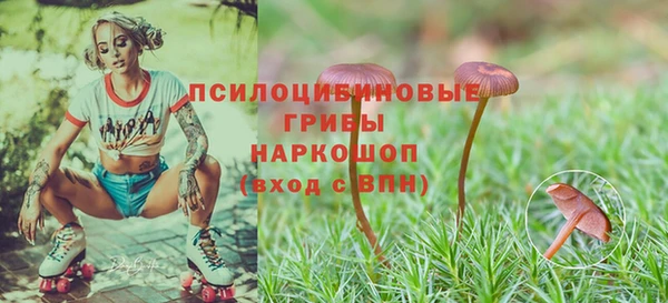 марки lsd Ельня
