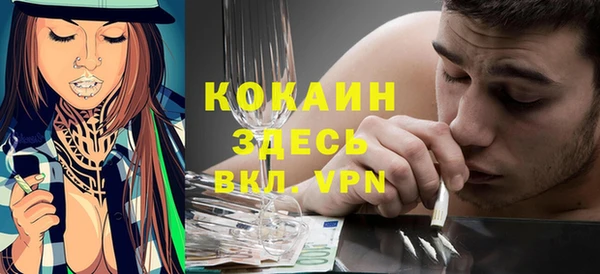 гашик Елизово