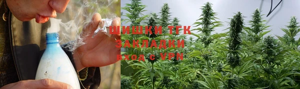 гашик Елизово