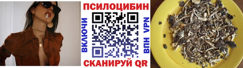 Галлюциногенные грибы мицелий Шуя